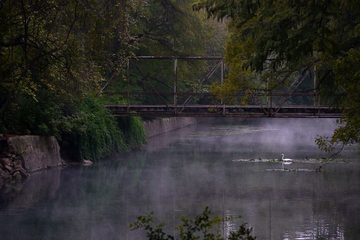 Brackenridge Park