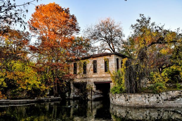 Brackenridge Park