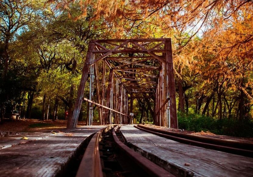 Brackenridge Park