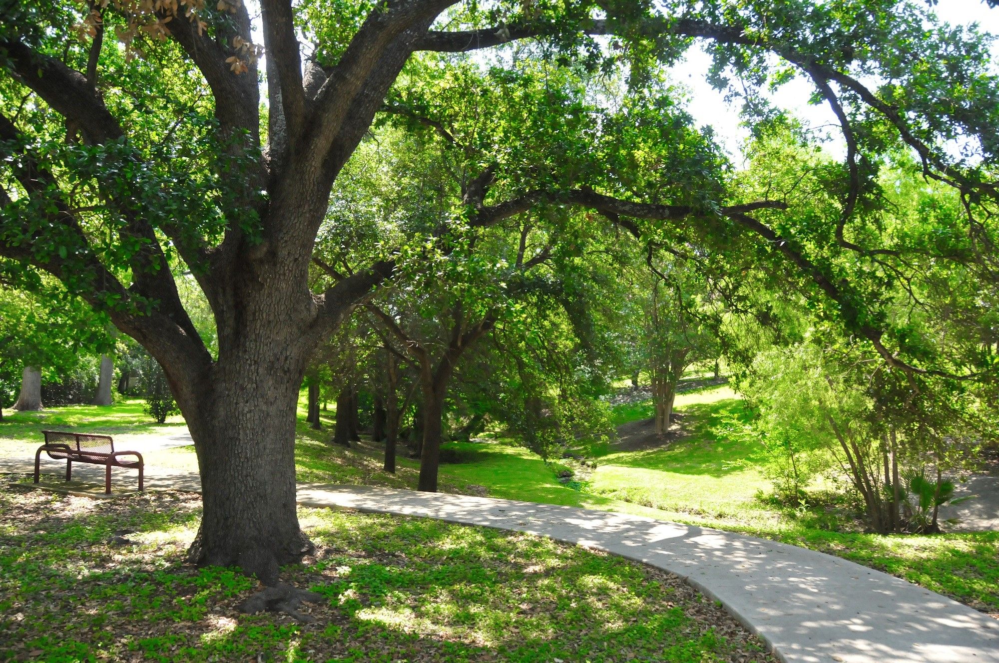 Brackenridge Park