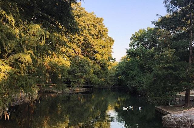Brackenridge Park
