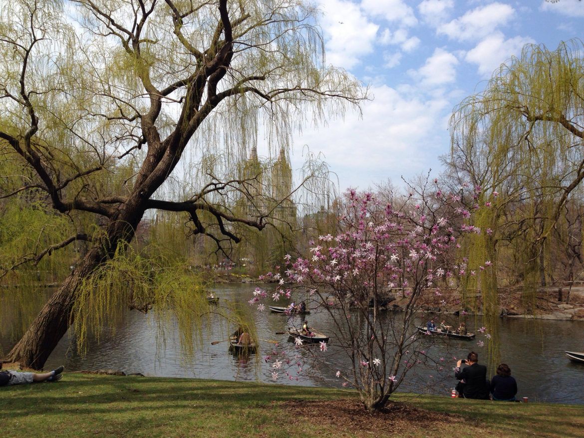 Central Park Conservancy Founder Betsy Rogers Traces Love for Nature to San Antonio Roots