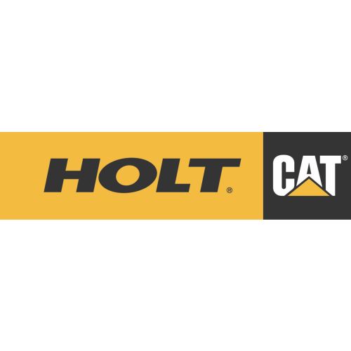 Holt Cat Logo.png