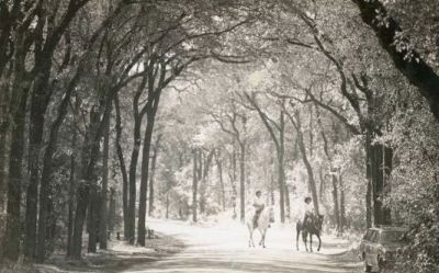 Vintage Photo from Brackenridge Park